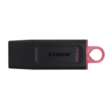 Kingston 256GB USB 3.2 Gen1 DataTraveler Exodia (Black + Pink)